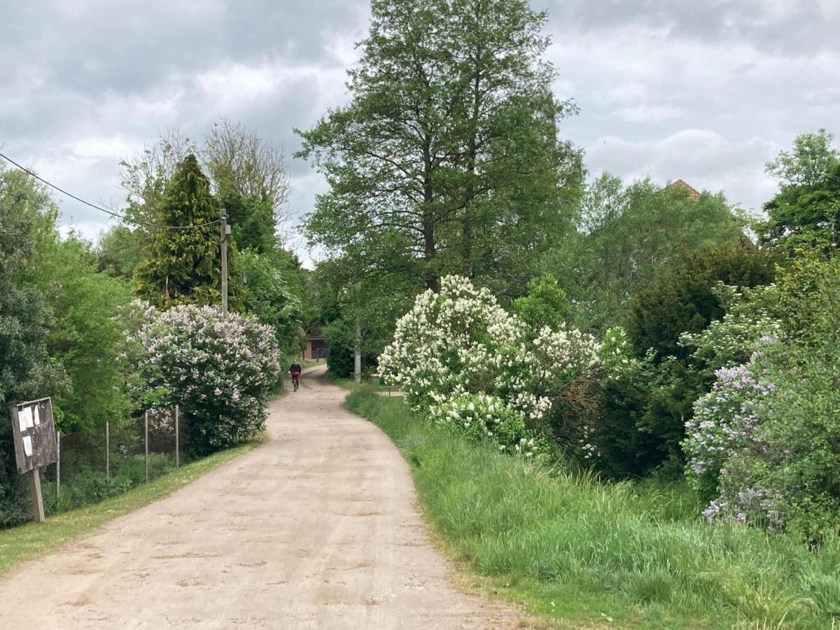 Ferienwohnung Im Gutshaus Alt Krassow Inmitten Der Natur Lalendorf Екстериор снимка