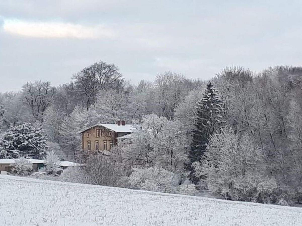 Ferienwohnung Im Gutshaus Alt Krassow Inmitten Der Natur Lalendorf Екстериор снимка