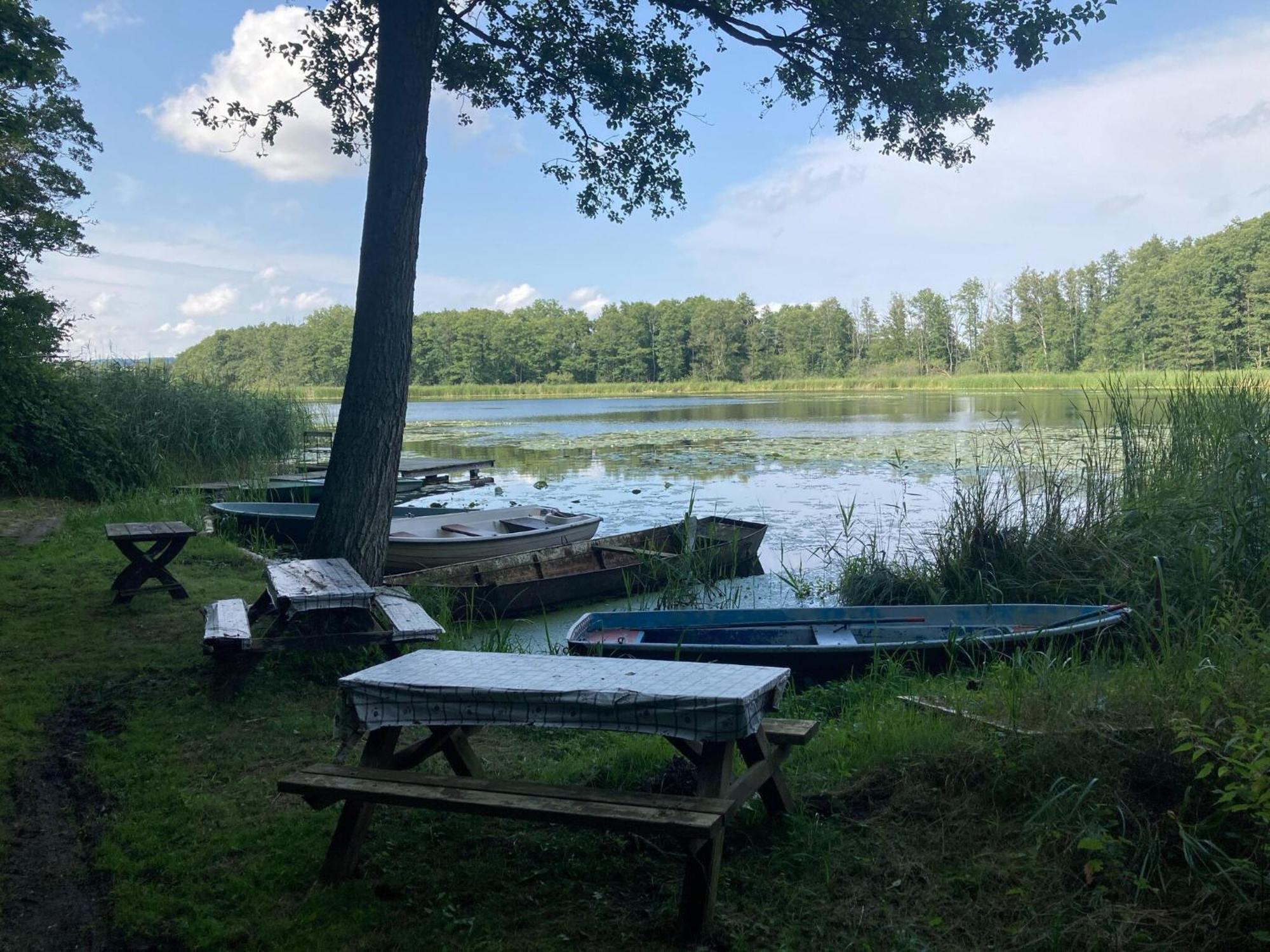 Ferienwohnung Im Gutshaus Alt Krassow Inmitten Der Natur Lalendorf Екстериор снимка