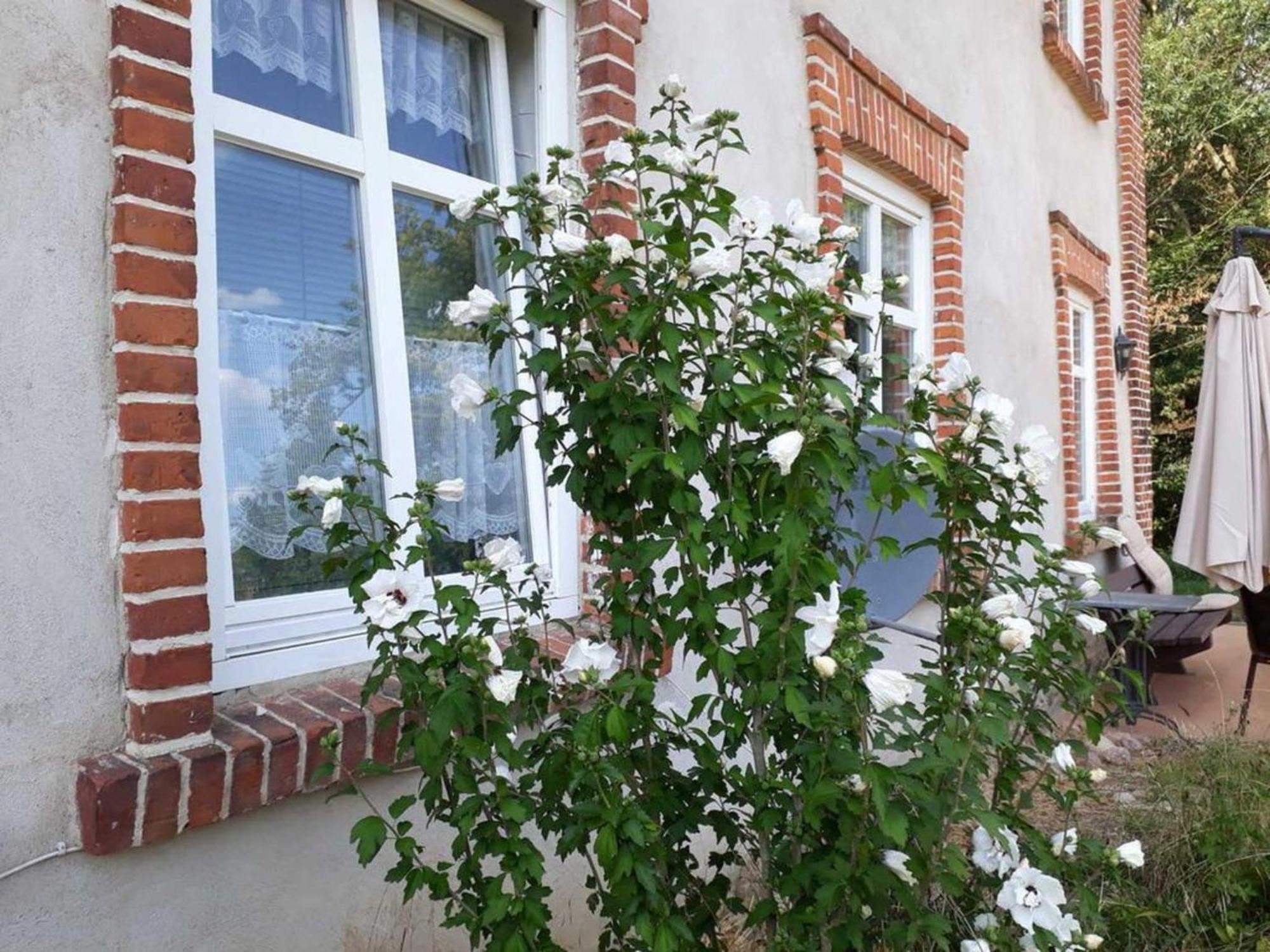 Ferienwohnung Im Gutshaus Alt Krassow Inmitten Der Natur Lalendorf Екстериор снимка