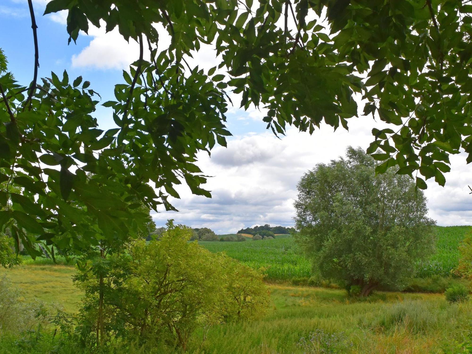 Ferienwohnung Im Gutshaus Alt Krassow Inmitten Der Natur Lalendorf Екстериор снимка